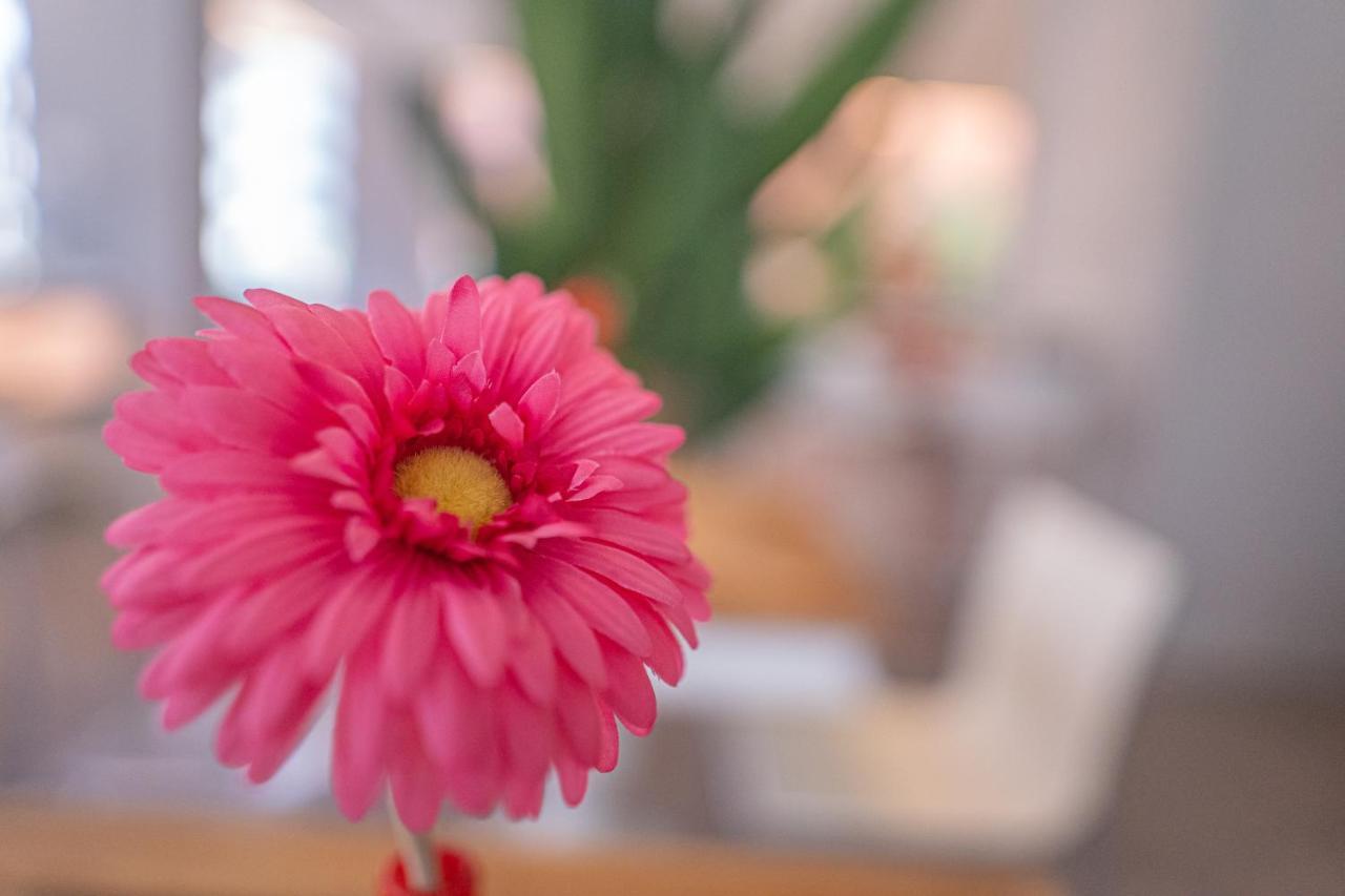 Design Hotel Astra B&B 미사노아드리아티코 외부 사진